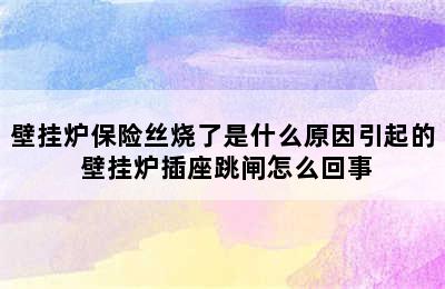 壁挂炉保险丝烧了是什么原因引起的 壁挂炉插座跳闸怎么回事